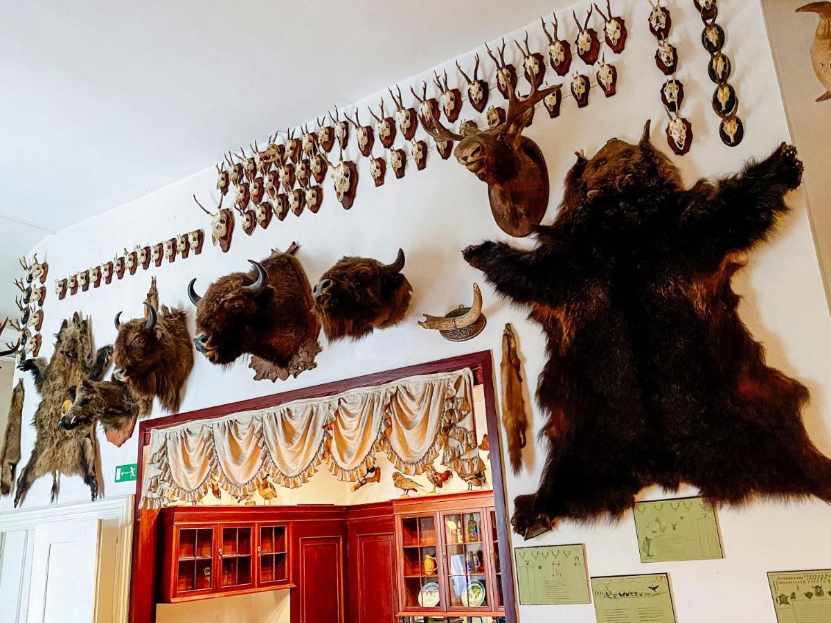 Hotel Zamek Krolewski W Rydzynie Rydzyna Dış mekan fotoğraf